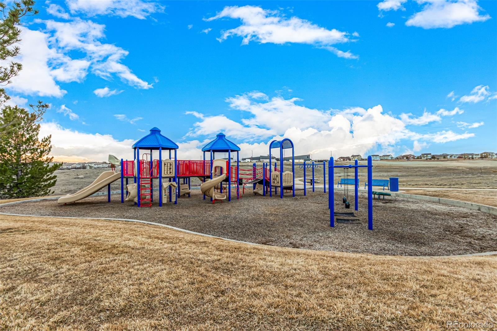 MLS Image #44 for 13015  tamarac place,thornton, Colorado