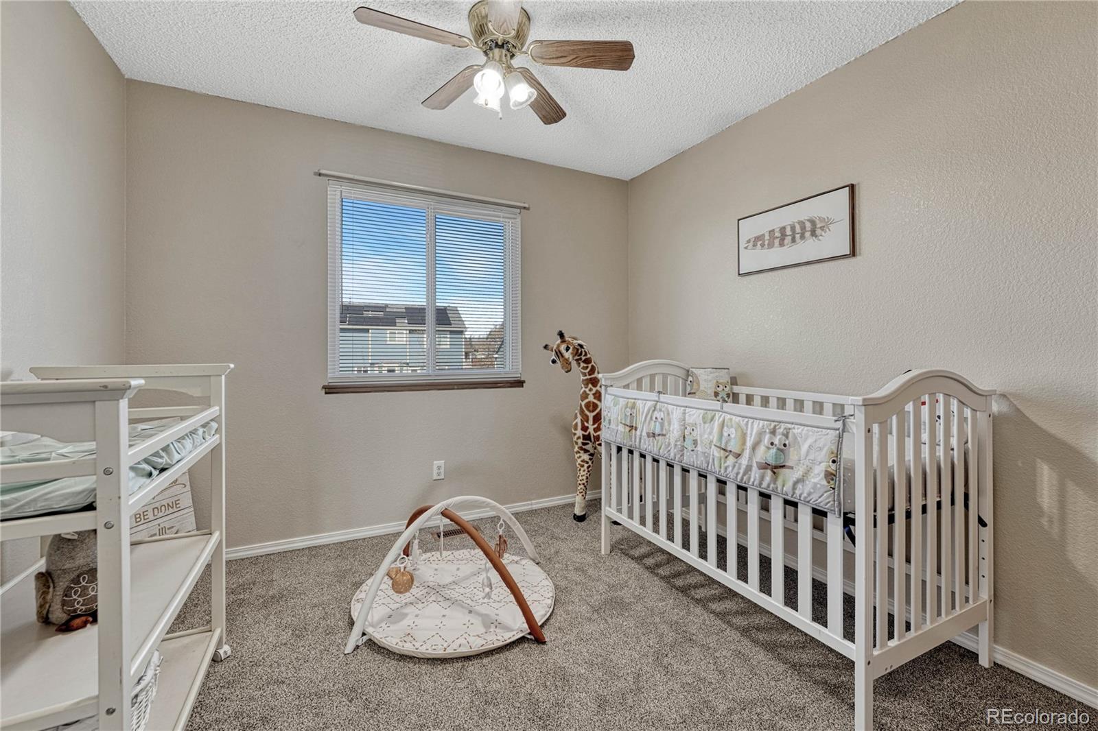 MLS Image #22 for 962  daffodil street,fountain, Colorado