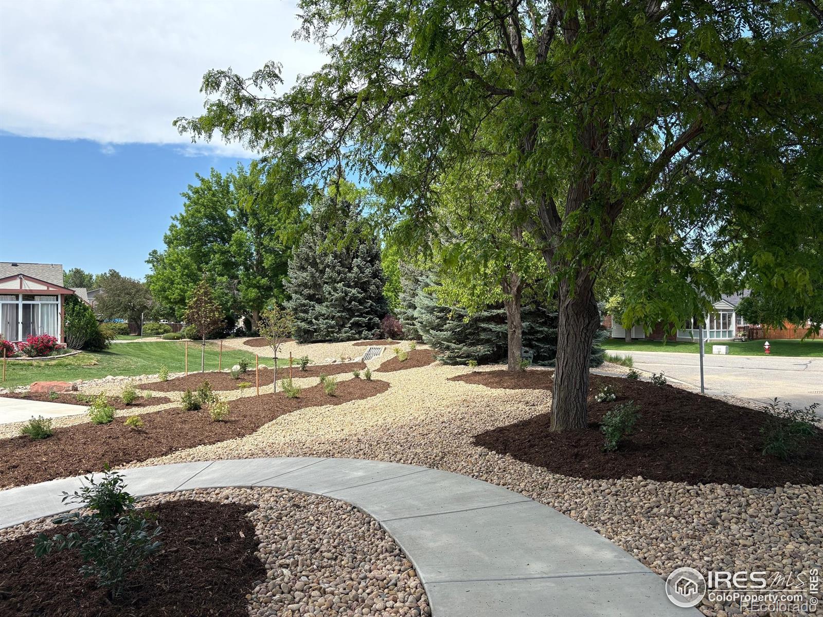 MLS Image #3 for 2604  elmhurst circle,longmont, Colorado