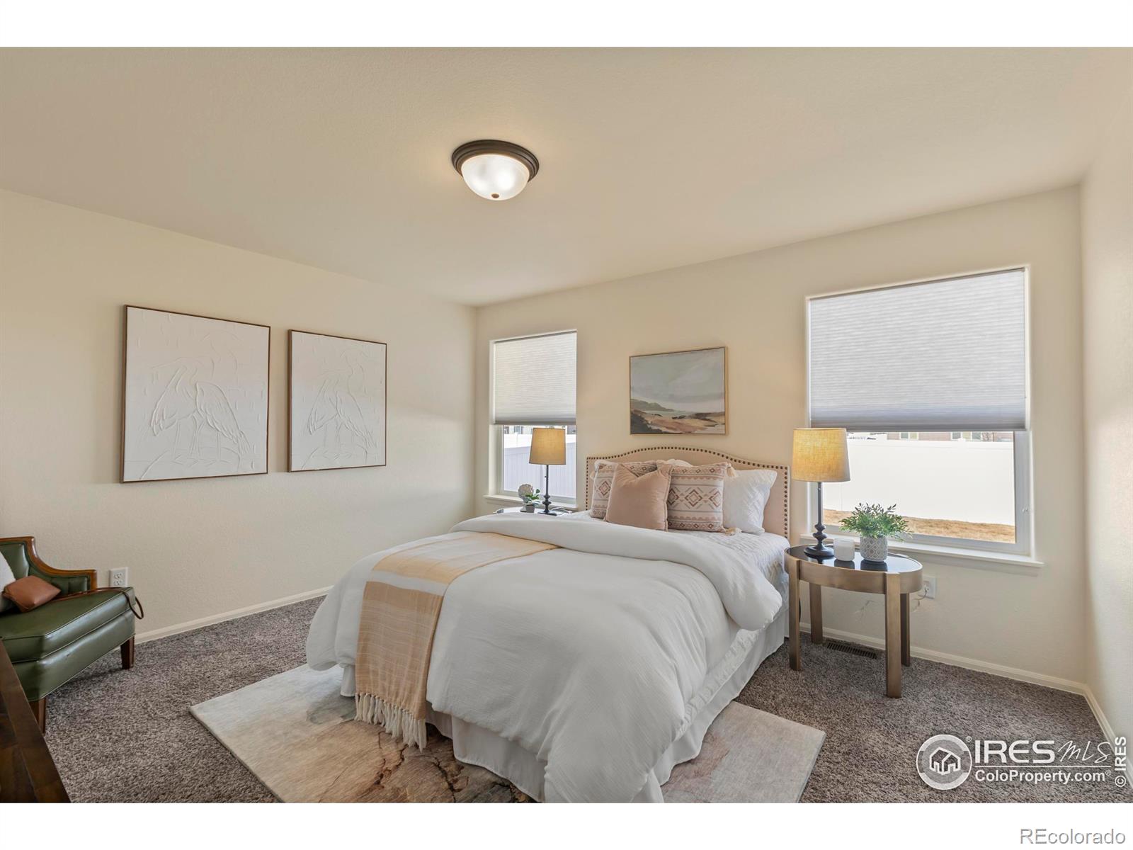 MLS Image #15 for 1054  kendalbrook drive,windsor, Colorado