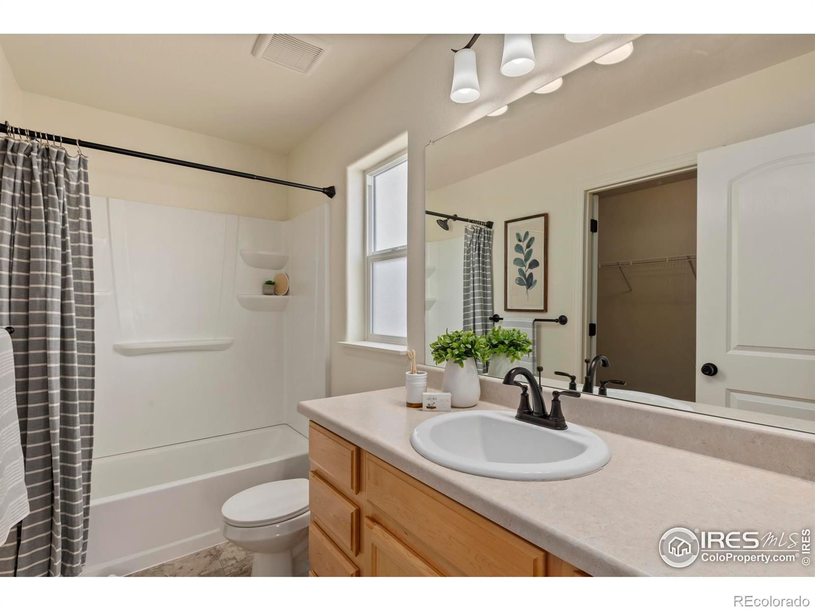 MLS Image #17 for 1054  kendalbrook drive,windsor, Colorado