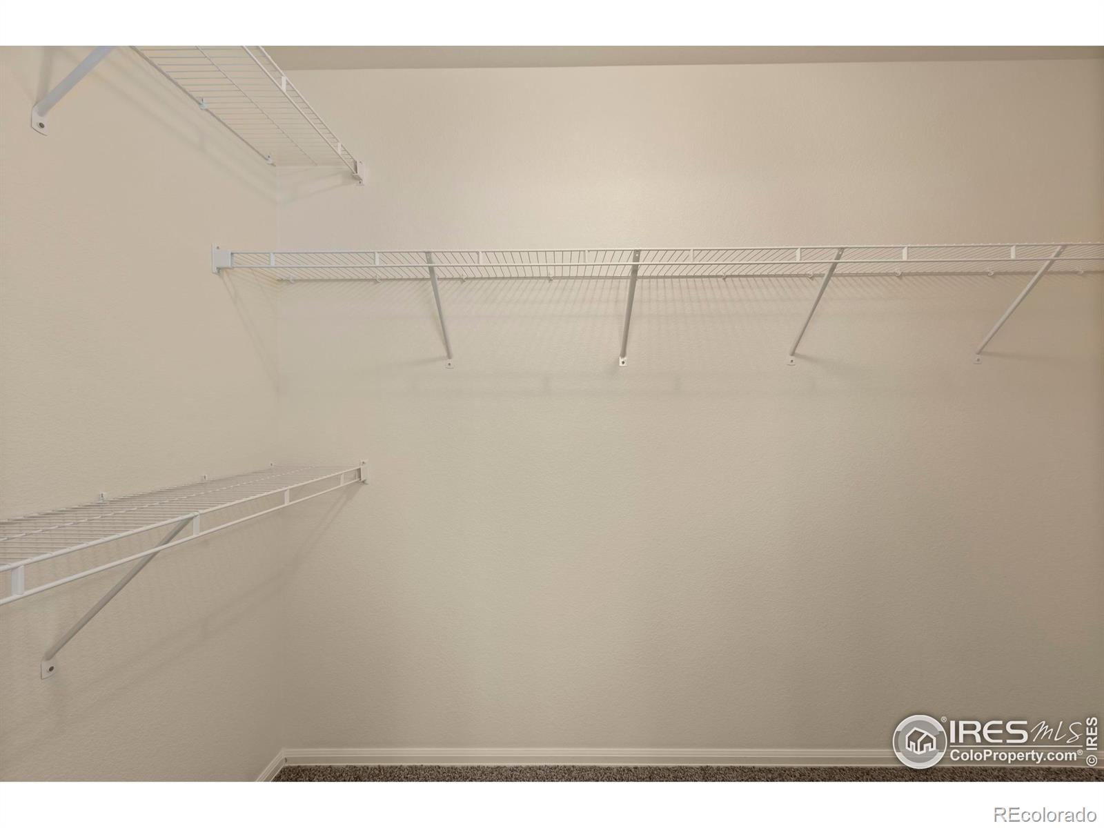 MLS Image #18 for 1054  kendalbrook drive,windsor, Colorado