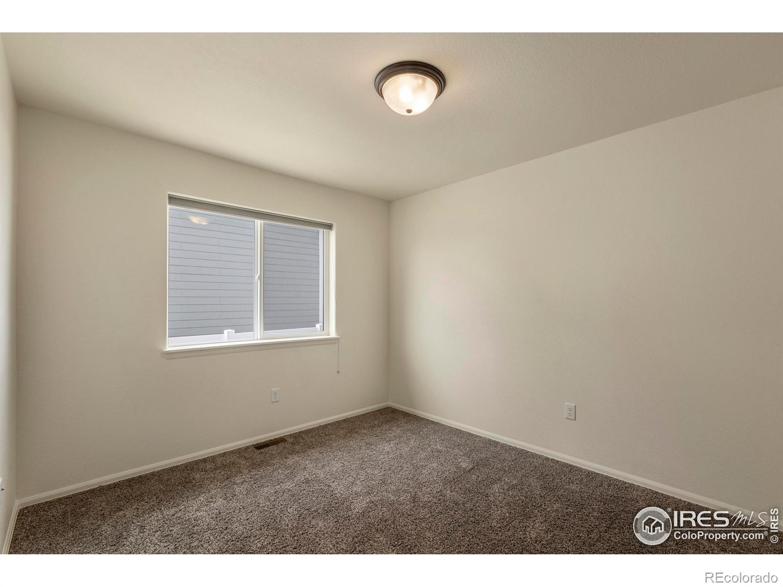 MLS Image #20 for 1054  kendalbrook drive,windsor, Colorado