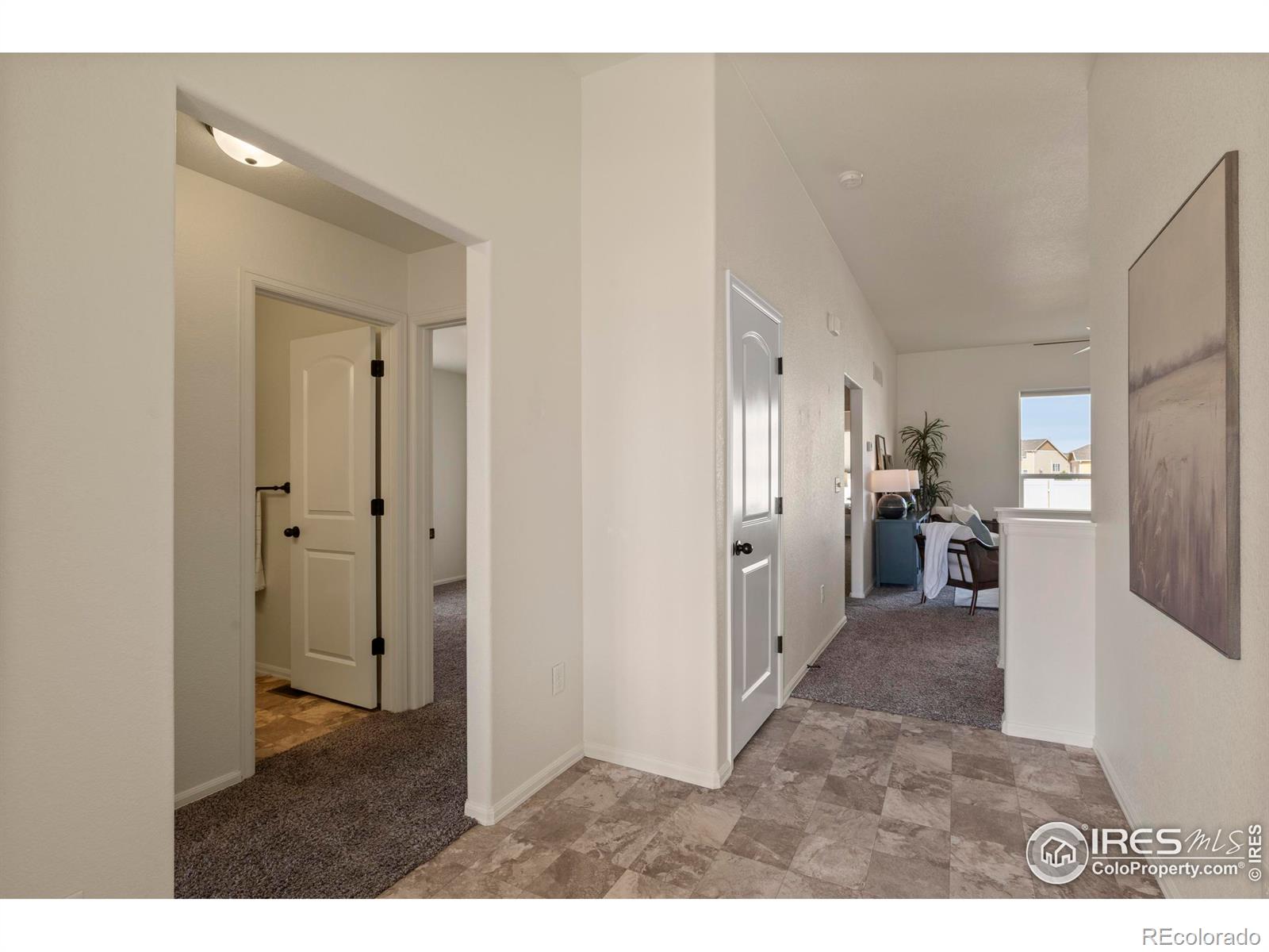 MLS Image #3 for 1054  kendalbrook drive,windsor, Colorado