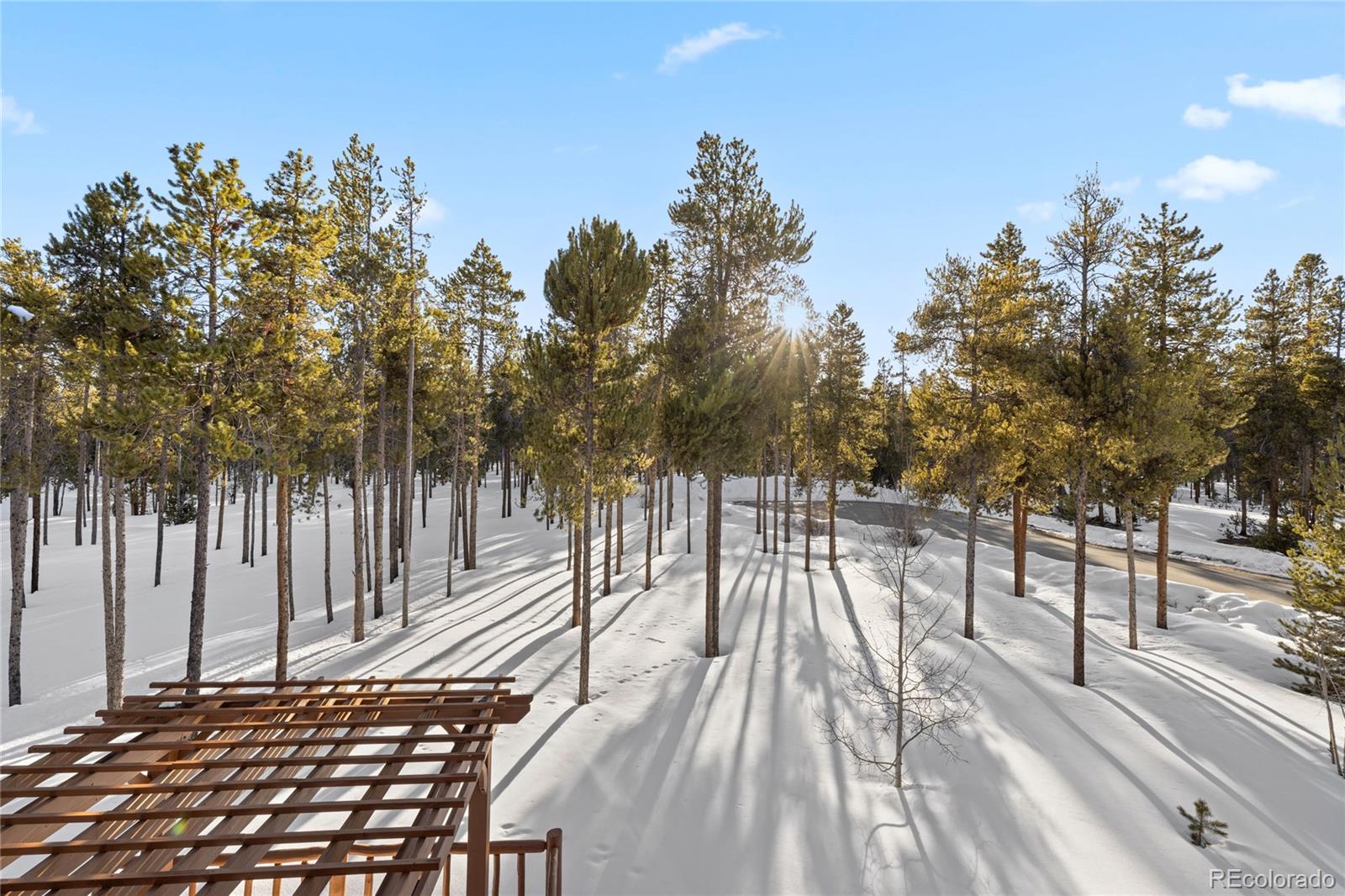 MLS Image #11 for 690  baby doe drive,leadville, Colorado