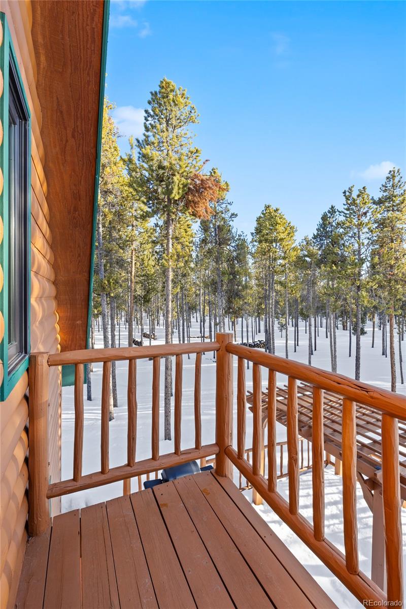 MLS Image #28 for 690  baby doe drive,leadville, Colorado