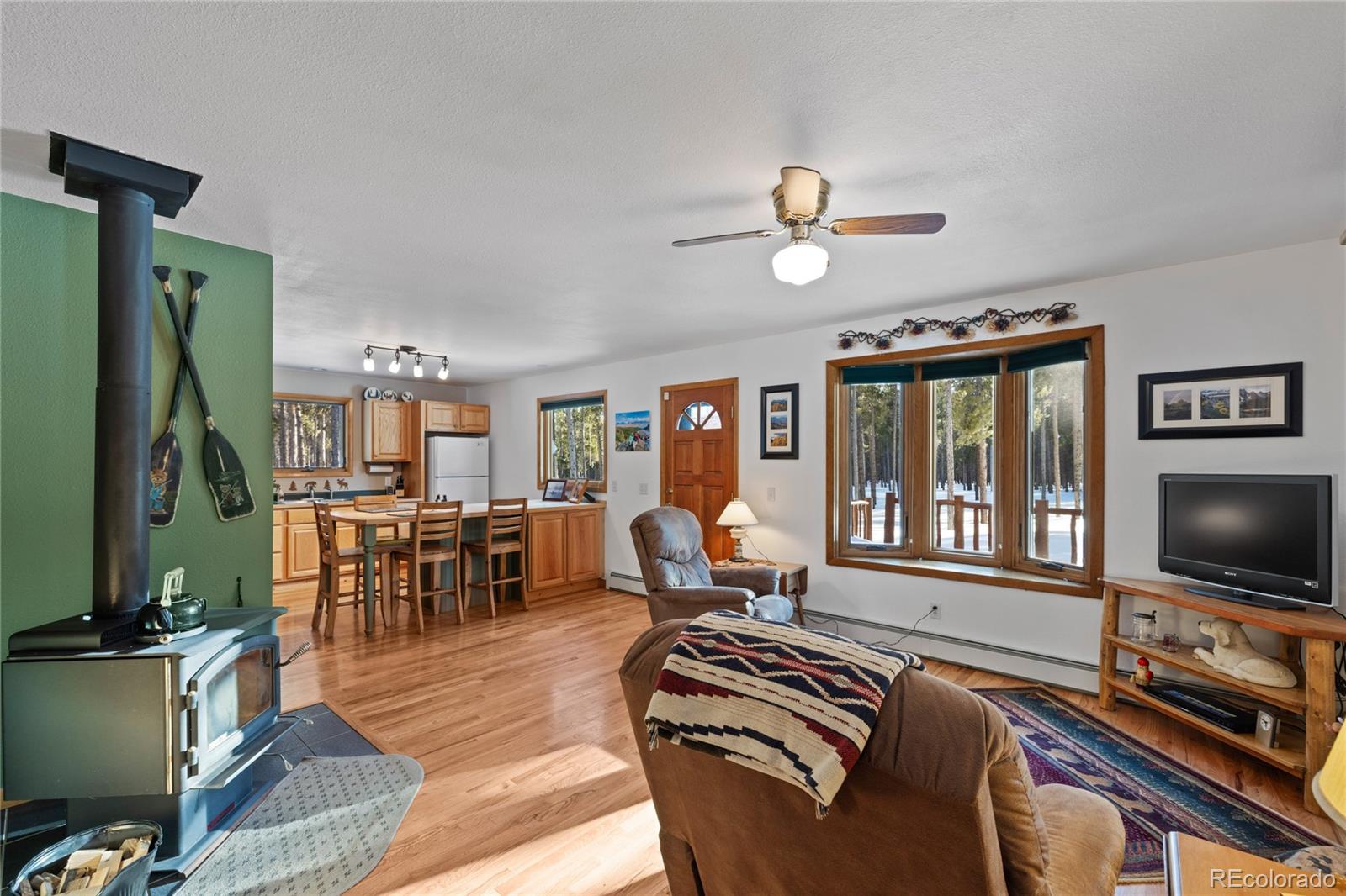 MLS Image #5 for 690  baby doe drive,leadville, Colorado
