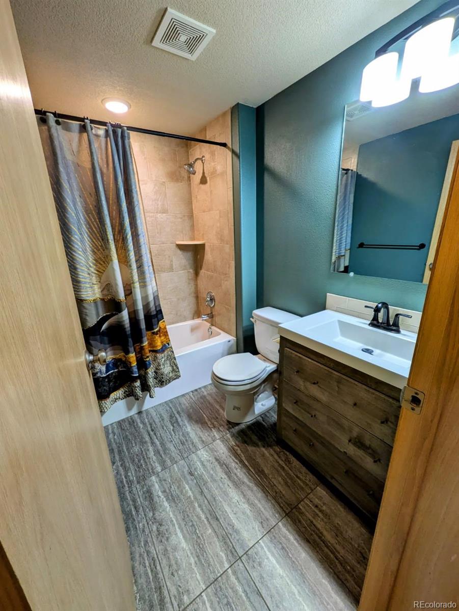 MLS Image #11 for 312  chestnut street,leadville, Colorado