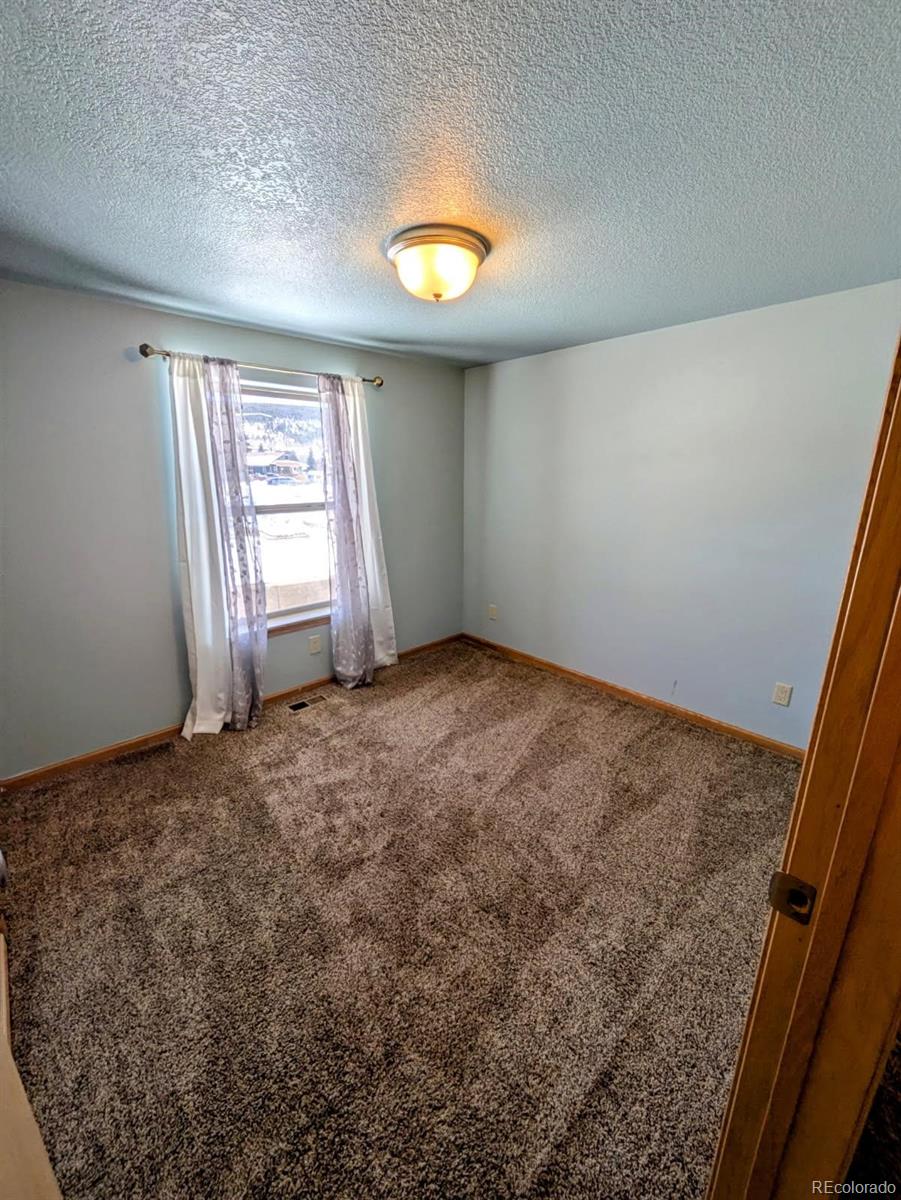 MLS Image #17 for 312  chestnut street,leadville, Colorado