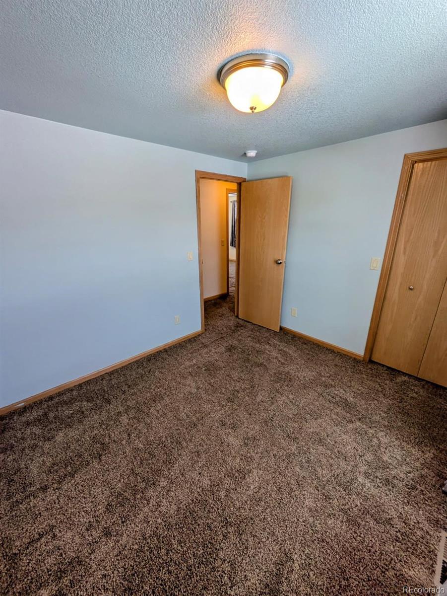 MLS Image #18 for 312  chestnut street,leadville, Colorado