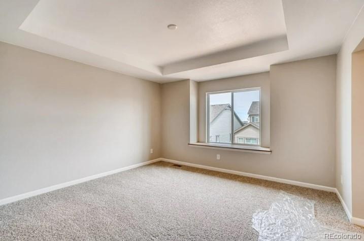 MLS Image #14 for 13374  blue amber court,parker, Colorado