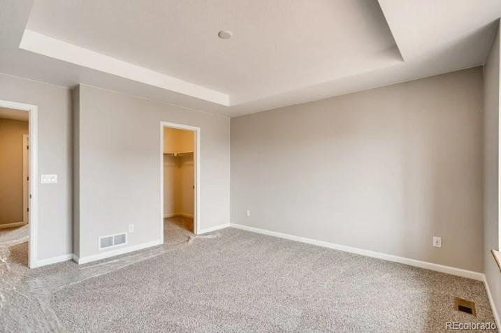 MLS Image #15 for 13374  blue amber court,parker, Colorado