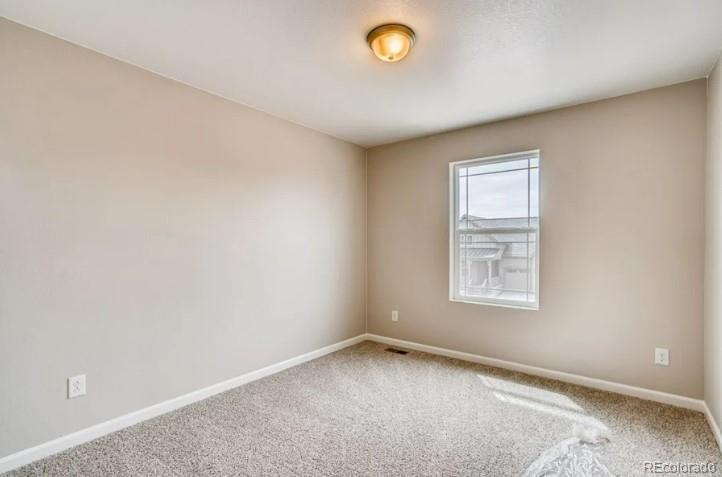 MLS Image #16 for 13374  blue amber court,parker, Colorado