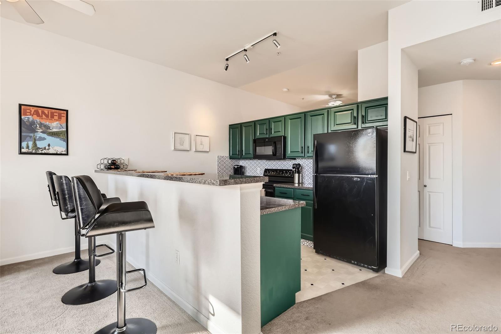 MLS Image #8 for 15475  andrews drive,denver, Colorado