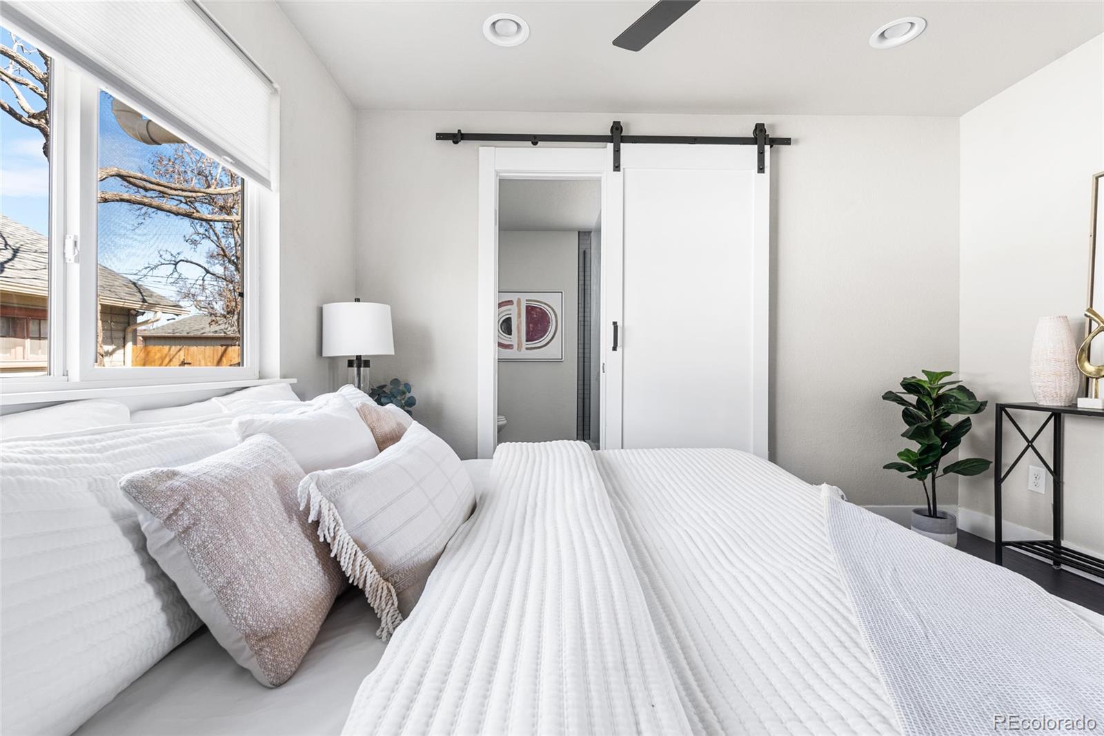 MLS Image #16 for 4846  knox court,denver, Colorado