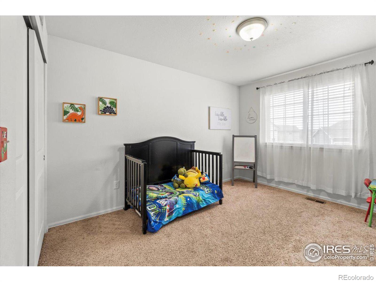 MLS Image #23 for 5786  valley vista avenue,firestone, Colorado