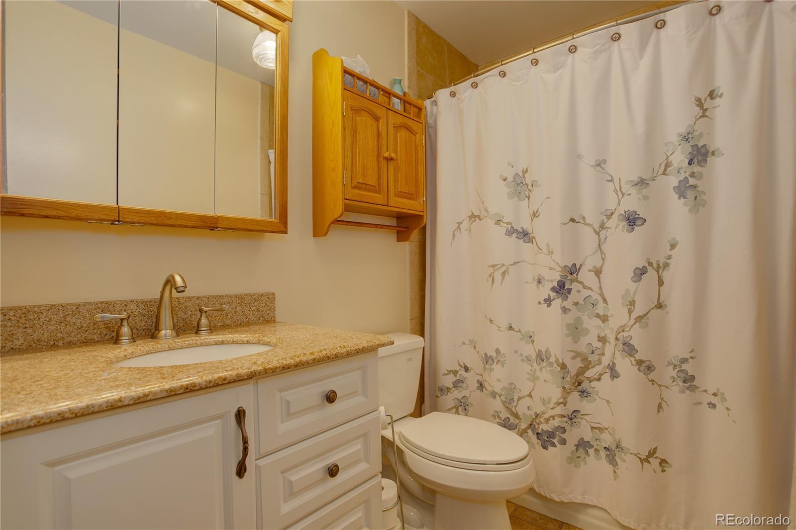 MLS Image #15 for 11241  ogden drive,northglenn, Colorado