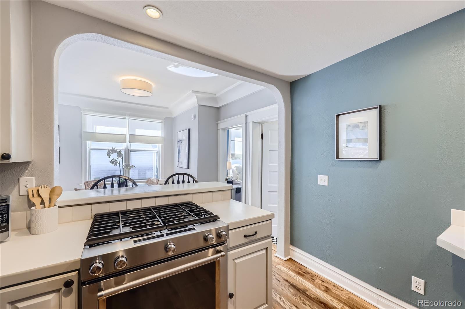 MLS Image #13 for 1157 n downing street,denver, Colorado