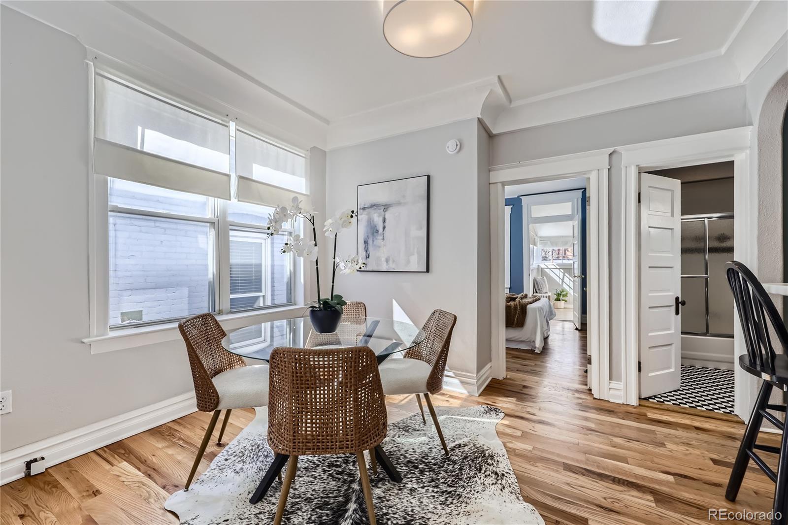 MLS Image #8 for 1157 n downing street,denver, Colorado