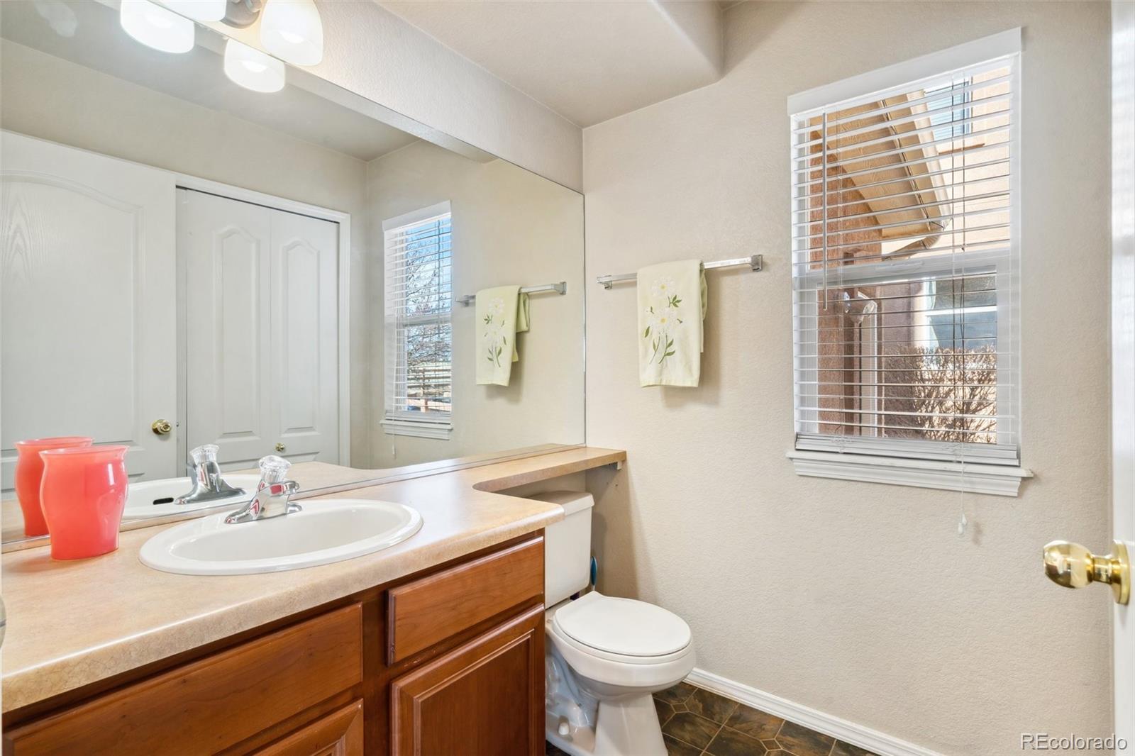 MLS Image #18 for 8501  jacks fork drive,colorado springs, Colorado