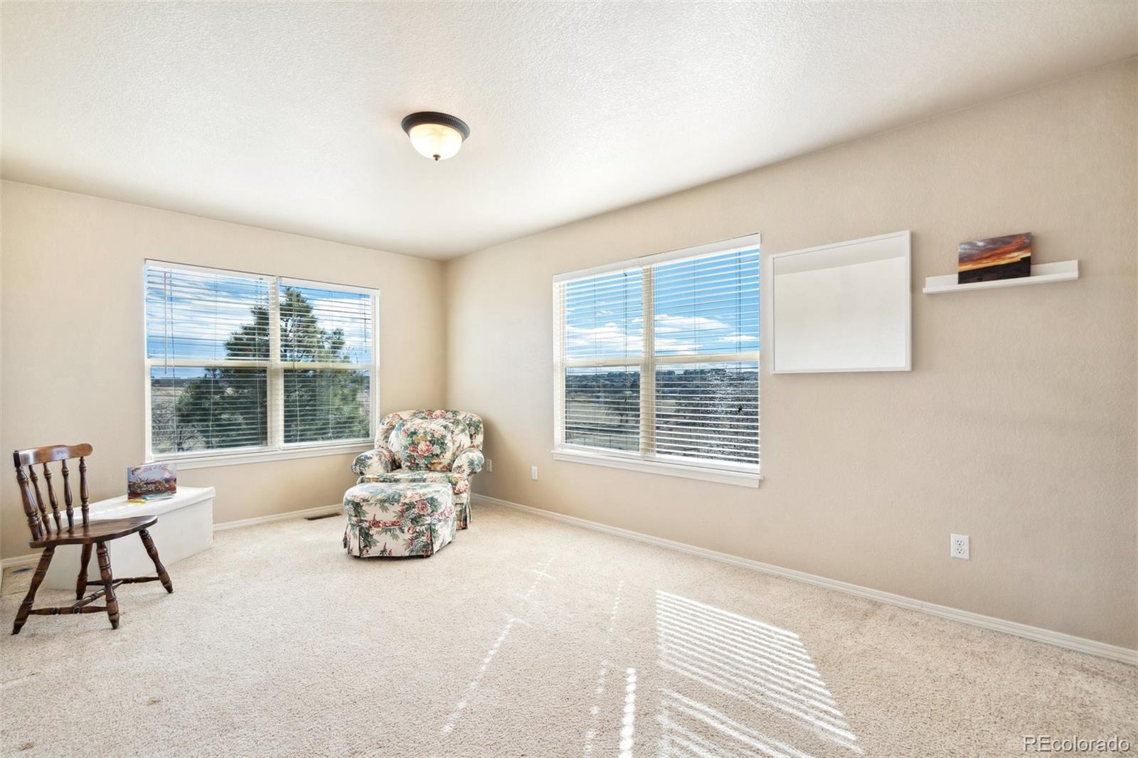MLS Image #19 for 8501  jacks fork drive,colorado springs, Colorado