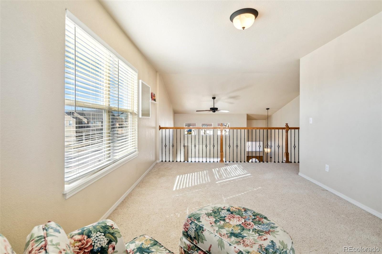 MLS Image #20 for 8501  jacks fork drive,colorado springs, Colorado
