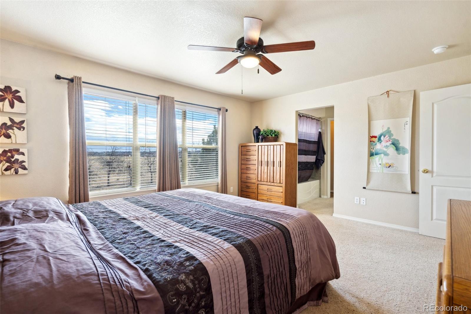 MLS Image #22 for 8501  jacks fork drive,colorado springs, Colorado