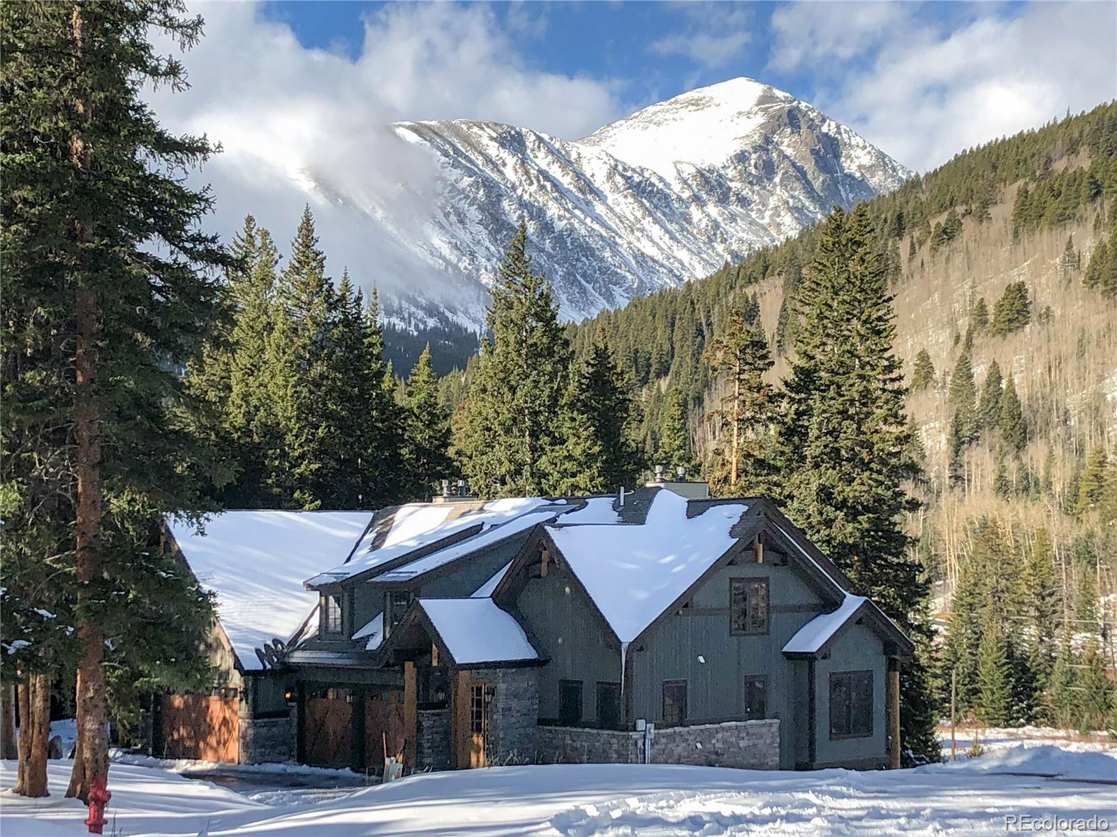 MLS Image #1 for 40  cooney court,blue river, Colorado