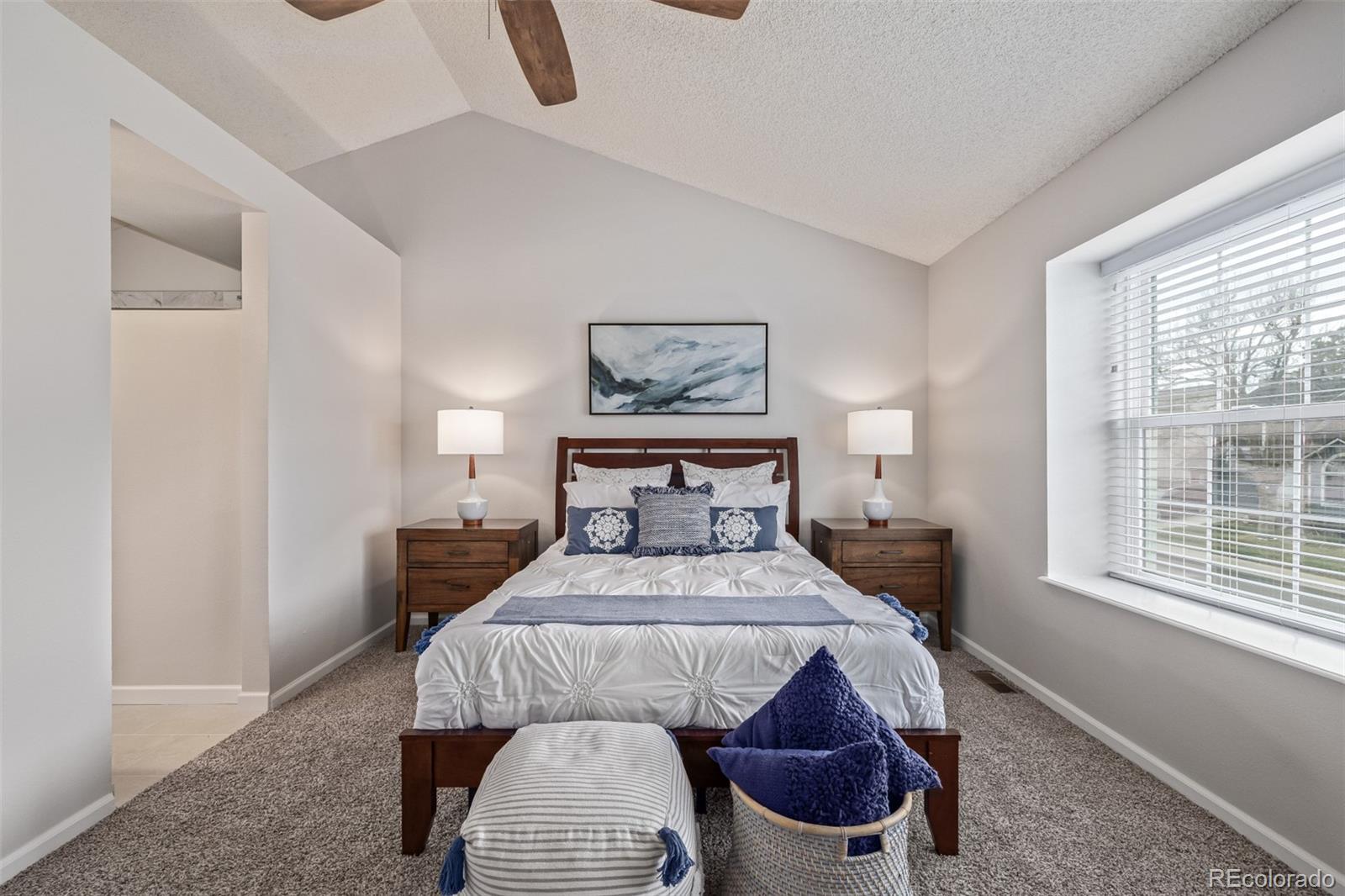 MLS Image #17 for 116 s lindsey street,castle rock, Colorado