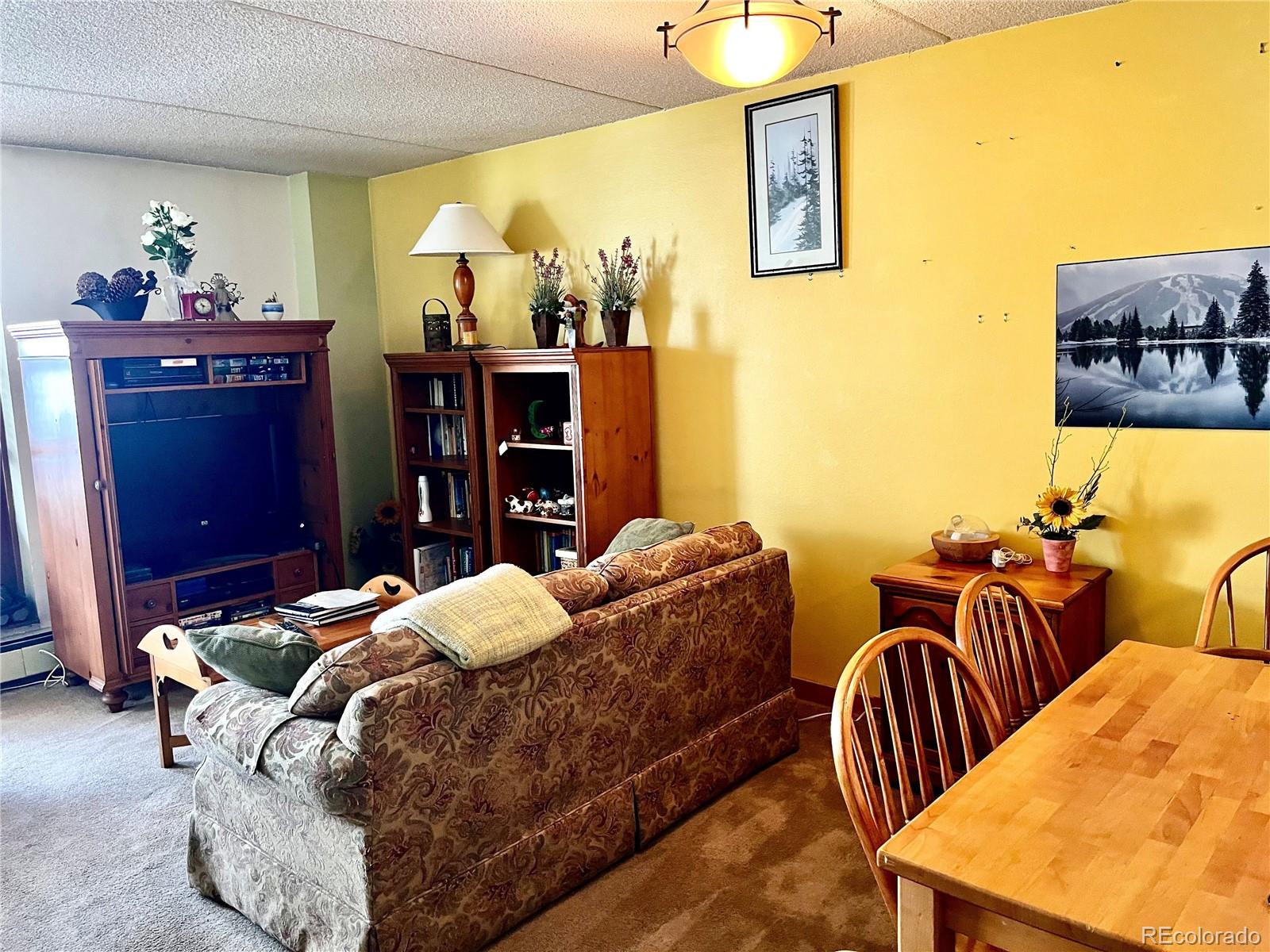 MLS Image #1 for 800  copper road,frisco, Colorado