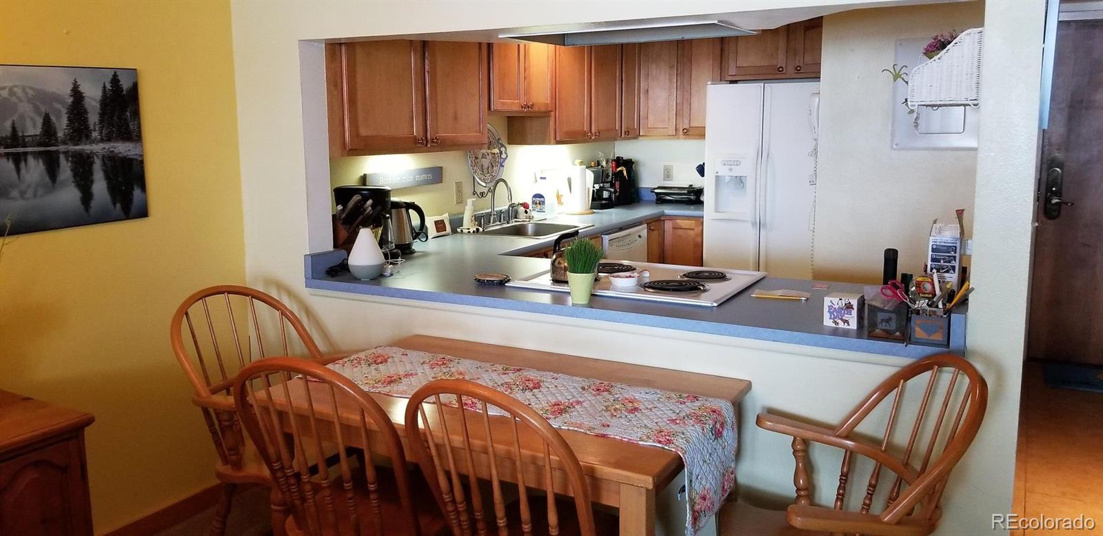 MLS Image #10 for 800  copper road,frisco, Colorado