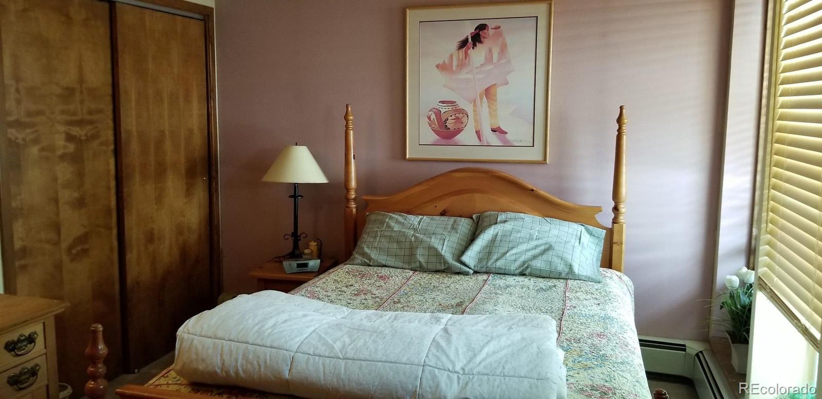 MLS Image #12 for 800  copper road,frisco, Colorado