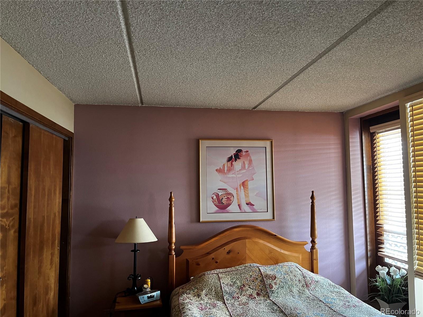 MLS Image #13 for 800  copper road,frisco, Colorado