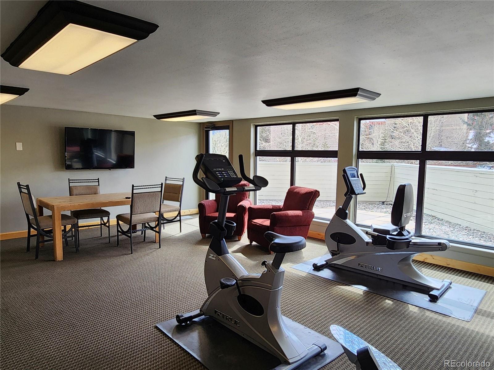 MLS Image #21 for 800  copper road,frisco, Colorado