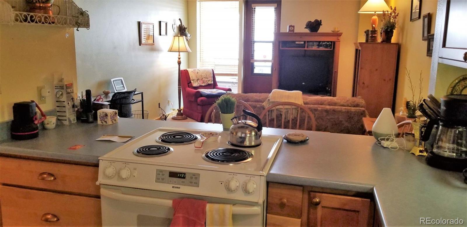 MLS Image #7 for 800  copper road,frisco, Colorado