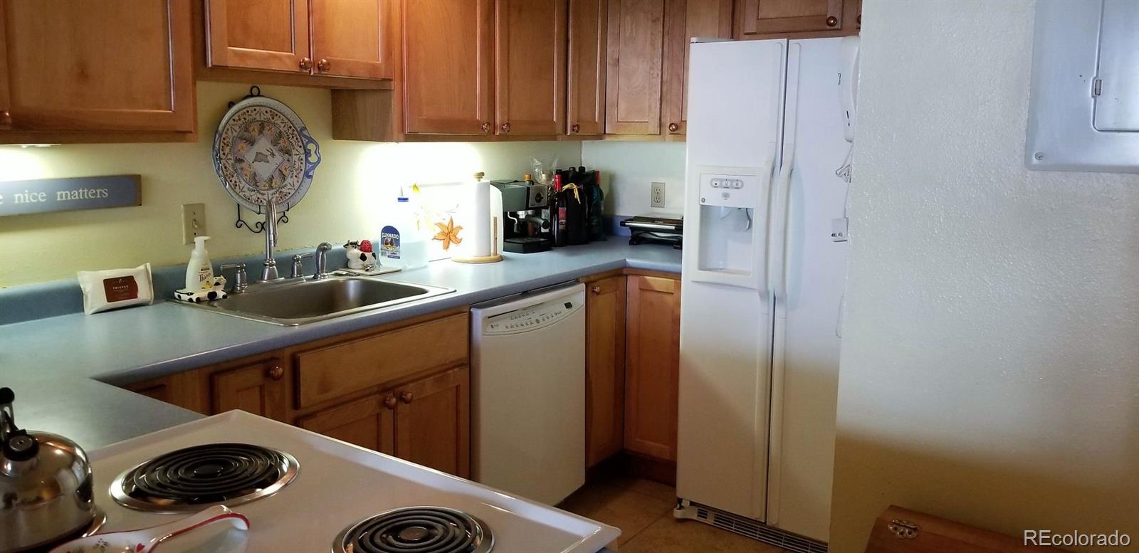 MLS Image #8 for 800  copper road,frisco, Colorado