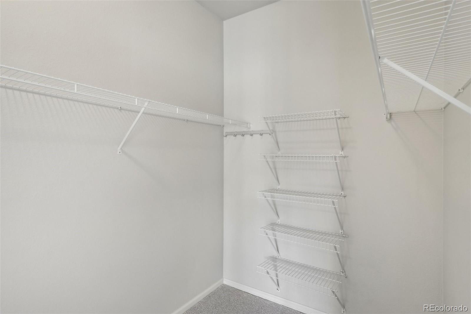 MLS Image #16 for 1495  blue sky way,erie, Colorado