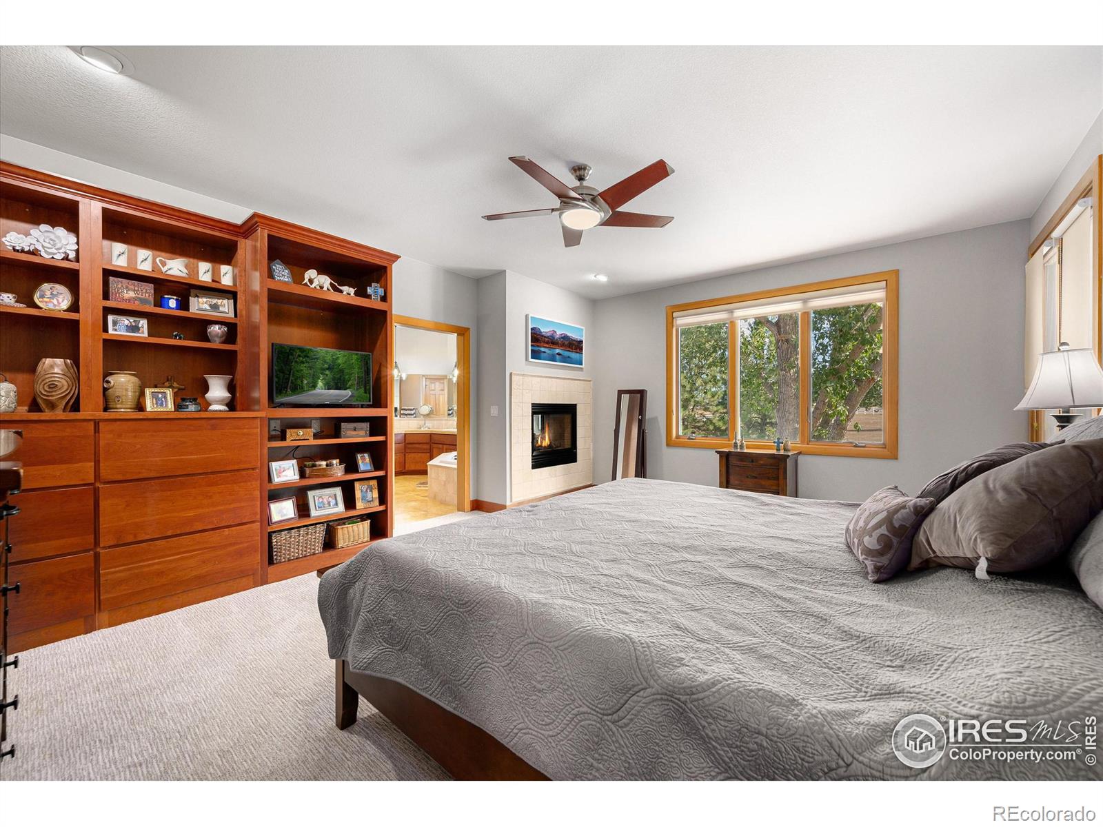 MLS Image #12 for 39658  ridge park drive,severance, Colorado