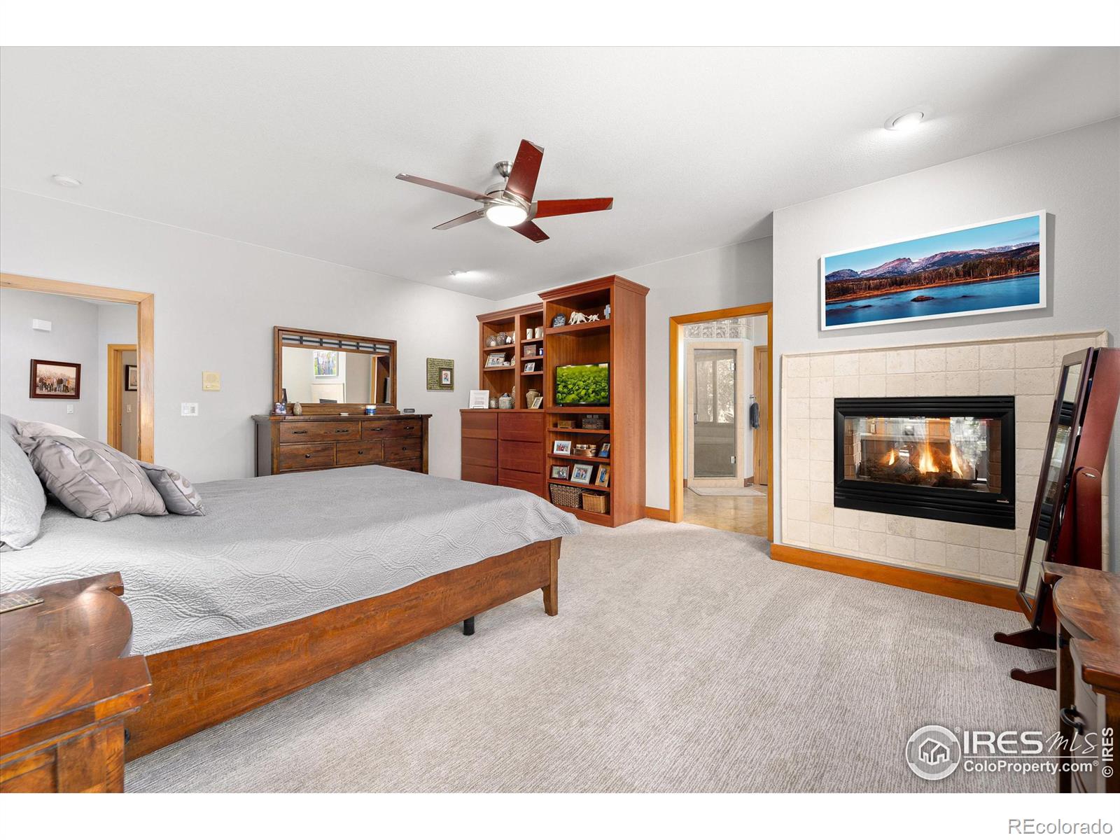 MLS Image #13 for 39658  ridge park drive,severance, Colorado