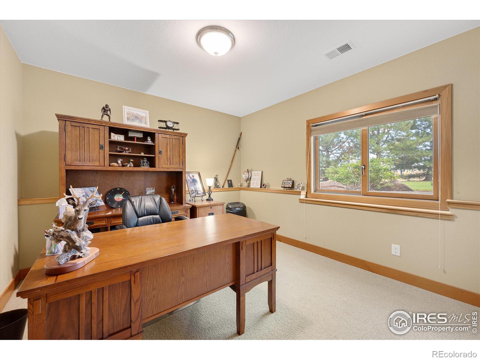 MLS Image #25 for 39658  ridge park drive,severance, Colorado