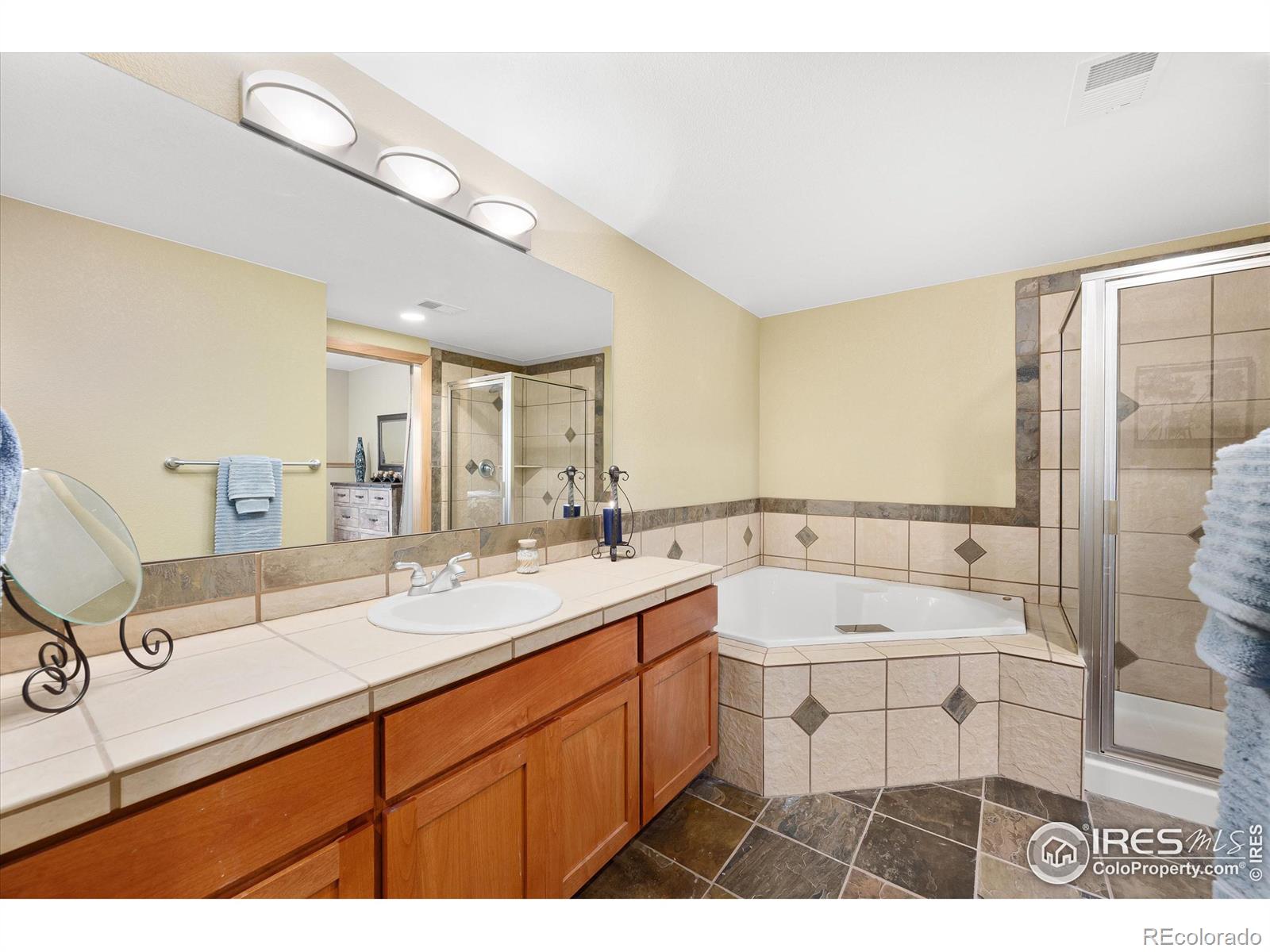 MLS Image #27 for 39658  ridge park drive,severance, Colorado