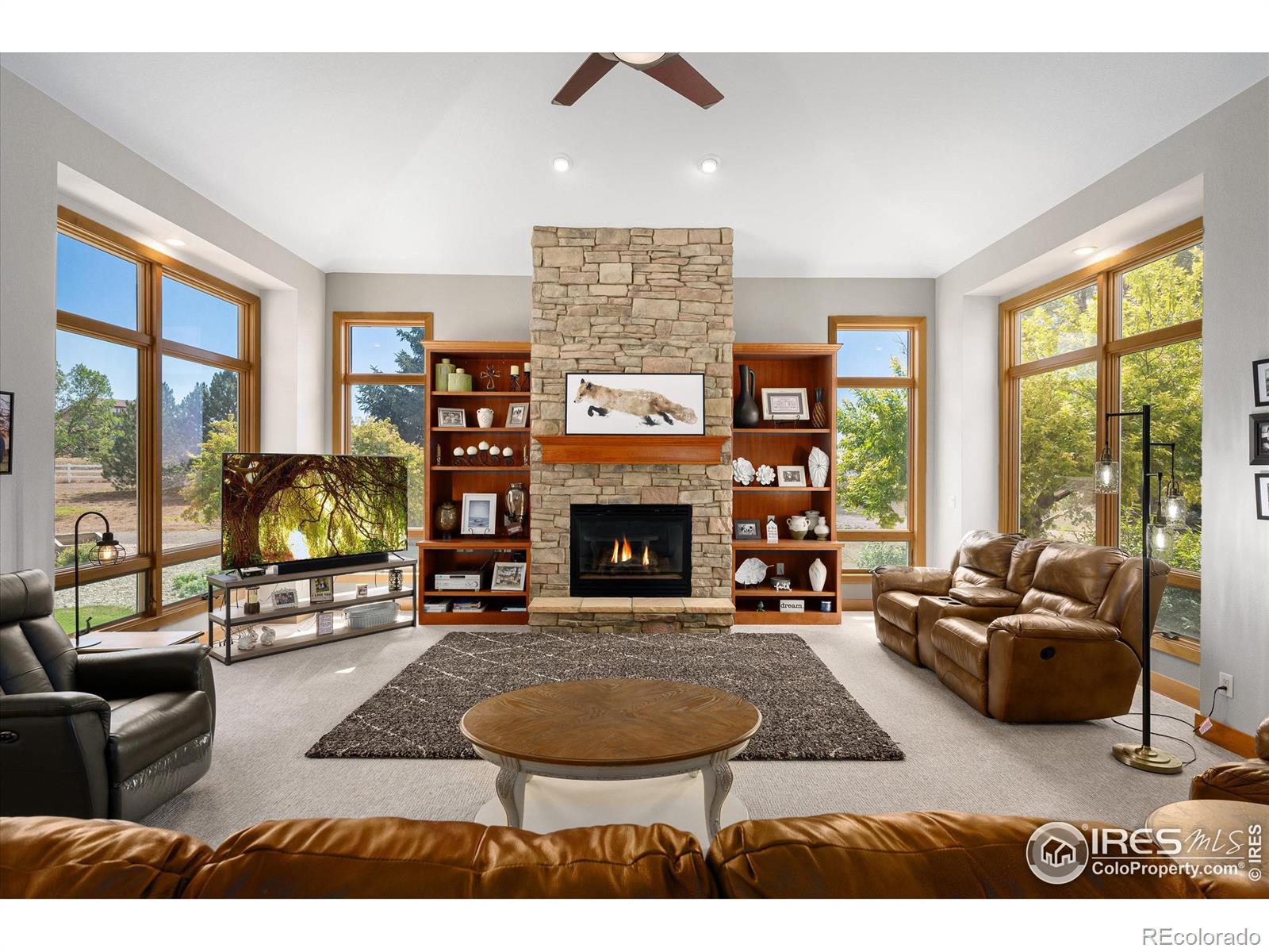 MLS Image #4 for 39658  ridge park drive,severance, Colorado