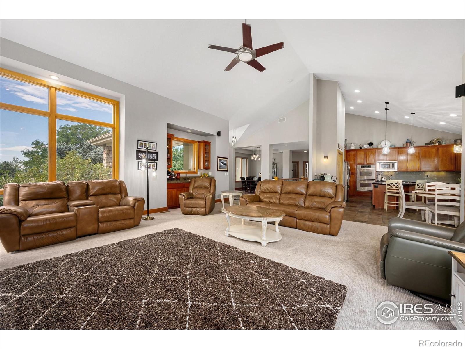 MLS Image #5 for 39658  ridge park drive,severance, Colorado