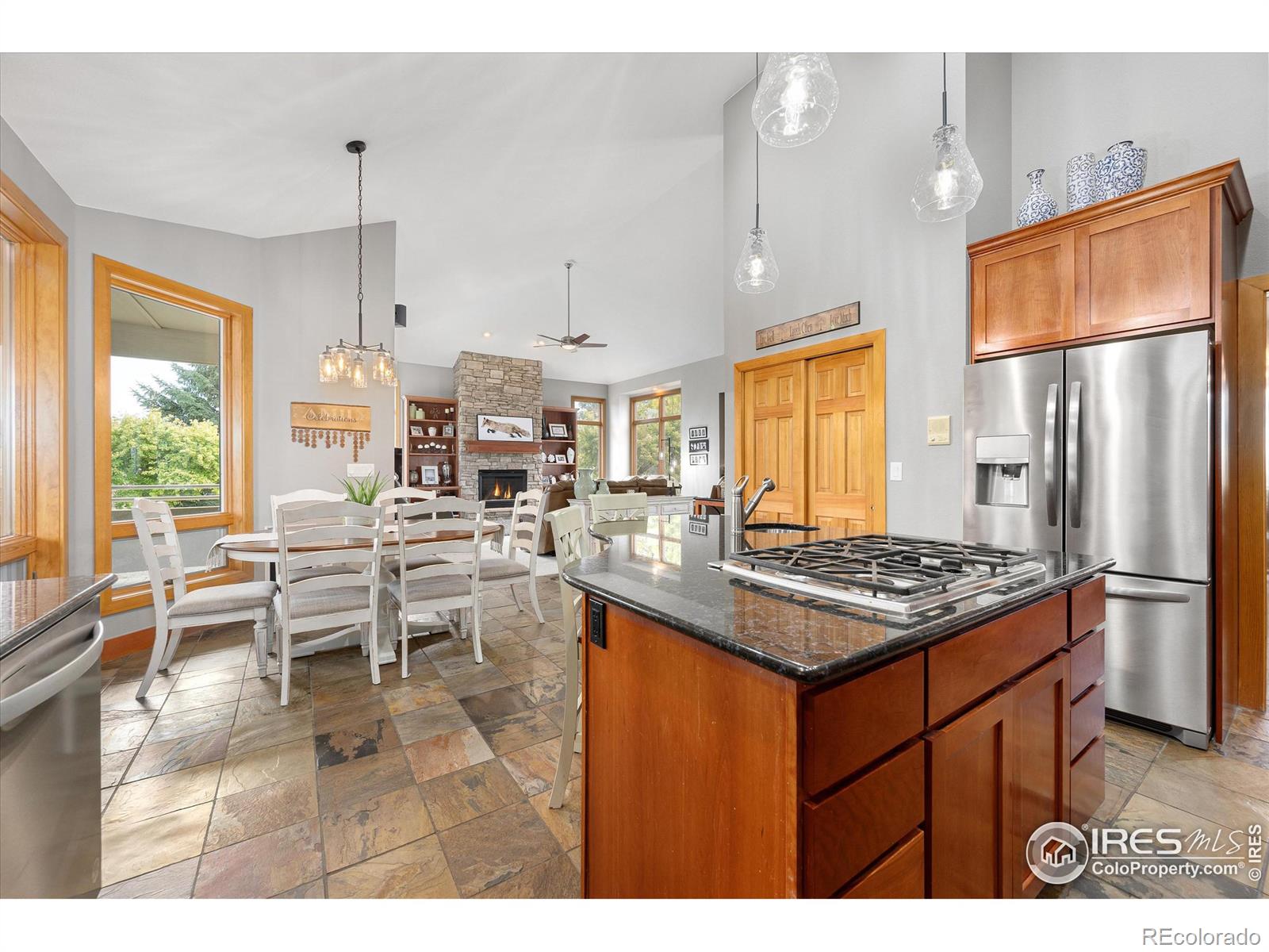 MLS Image #7 for 39658  ridge park drive,severance, Colorado