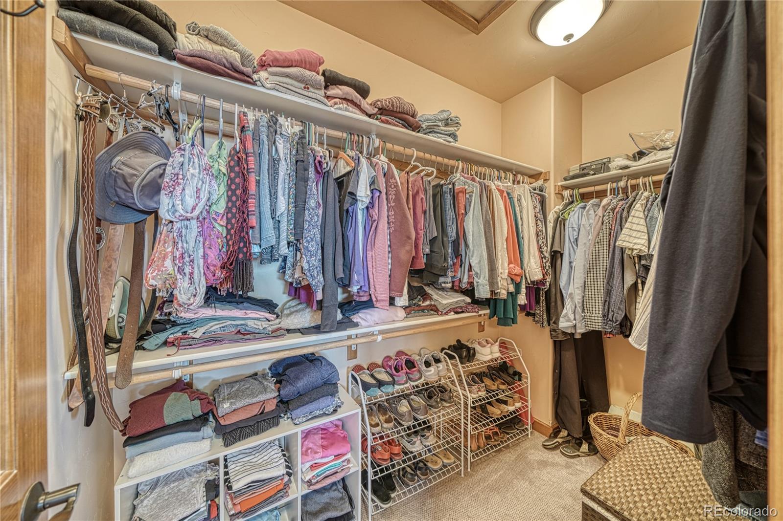 MLS Image #26 for 13083  county road 261p ,nathrop, Colorado