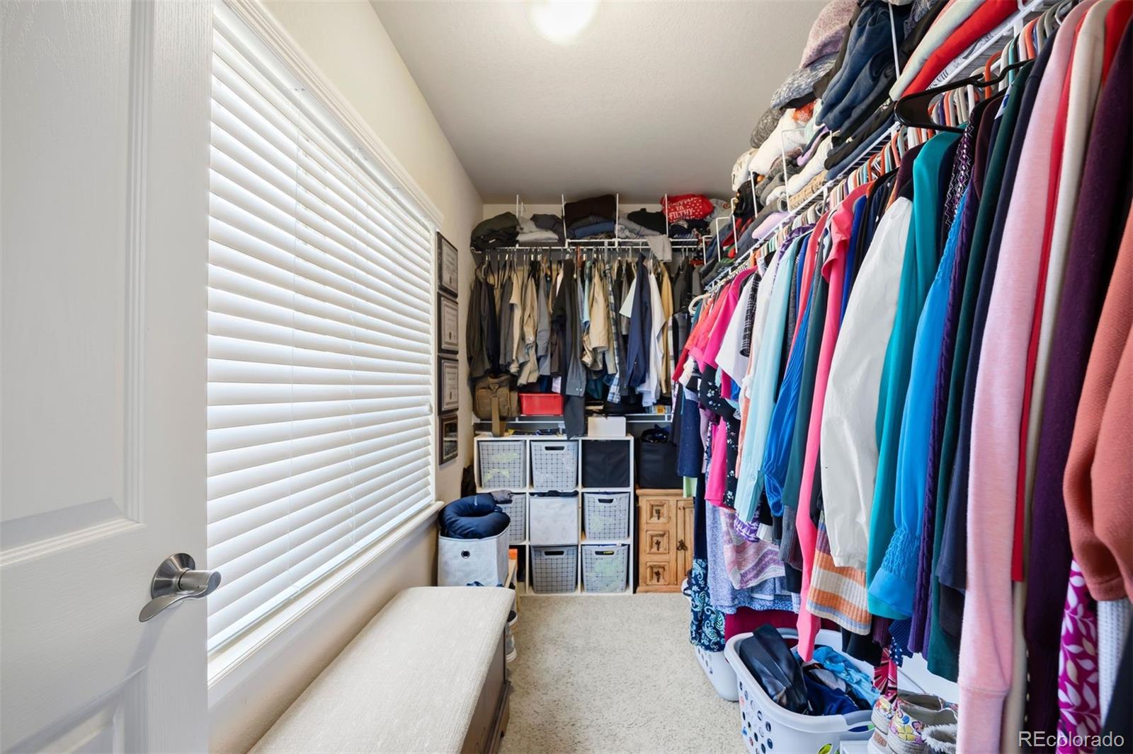 MLS Image #33 for 9225  rockhurst street,highlands ranch, Colorado