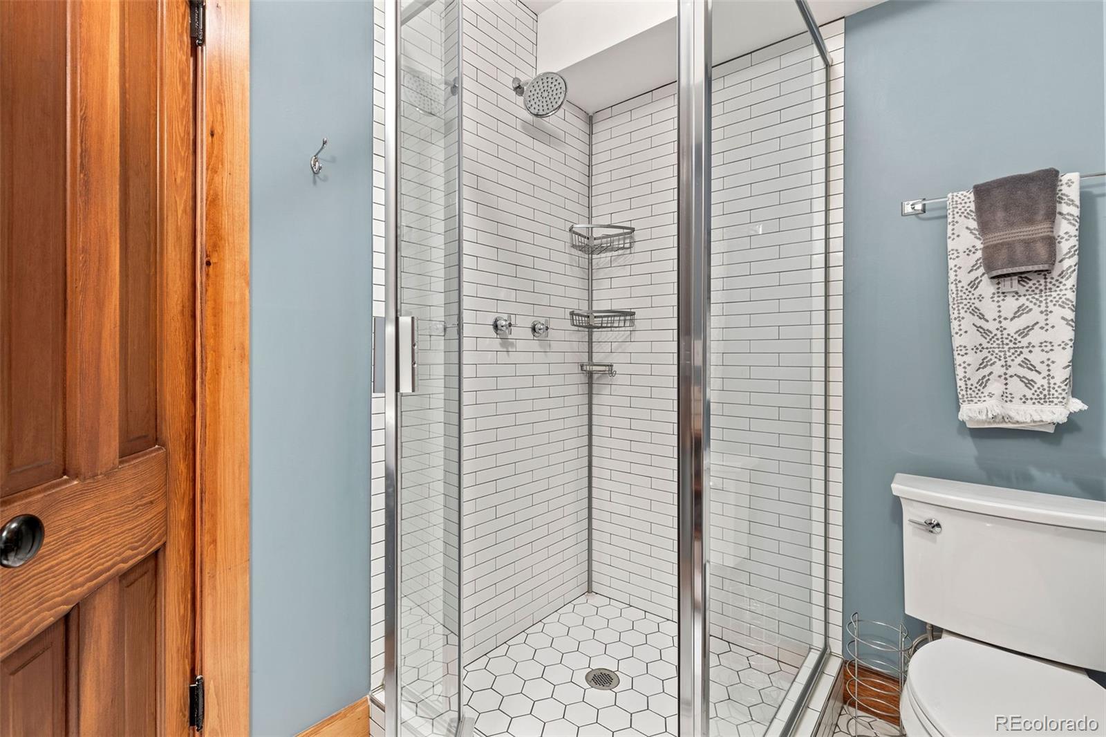 MLS Image #30 for 2447  hooker street,denver, Colorado
