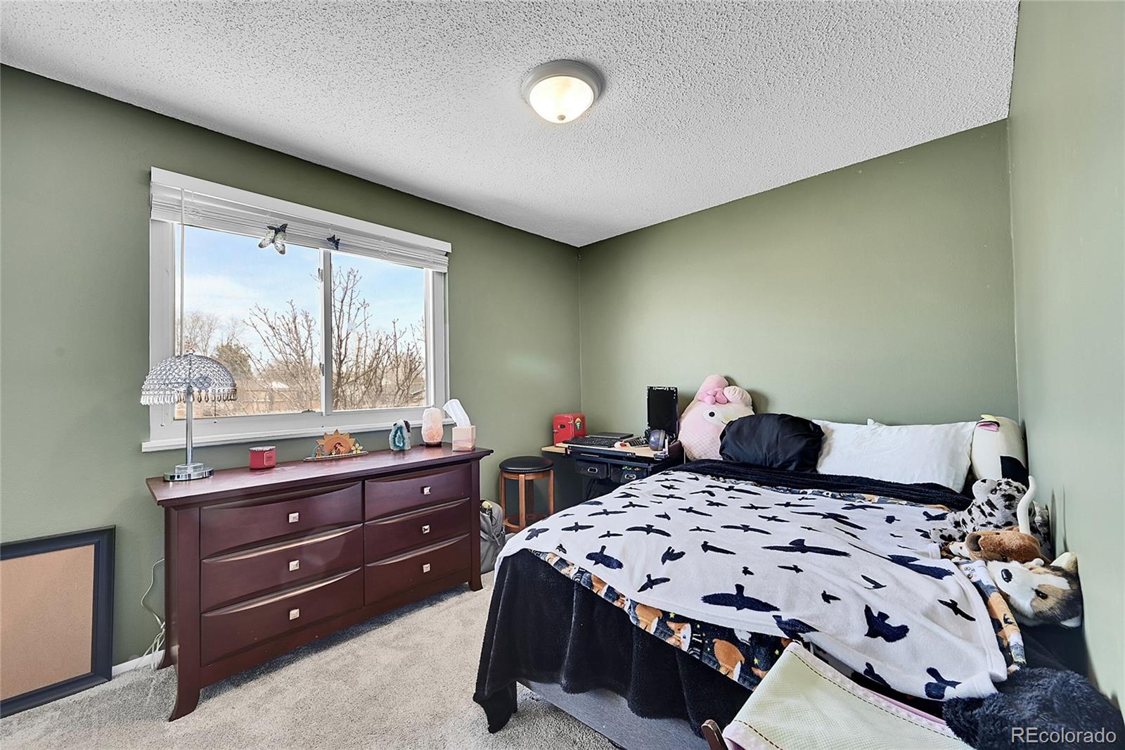 MLS Image #17 for 11483  steele street,thornton, Colorado