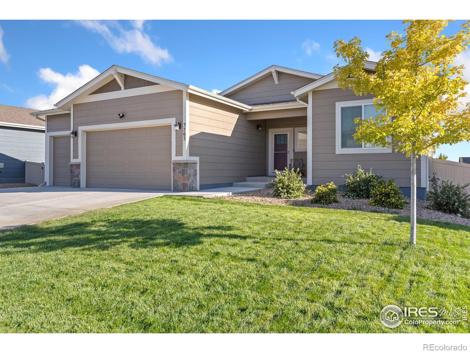 MLS Image #1 for 3763  buckthorn street,wellington, Colorado