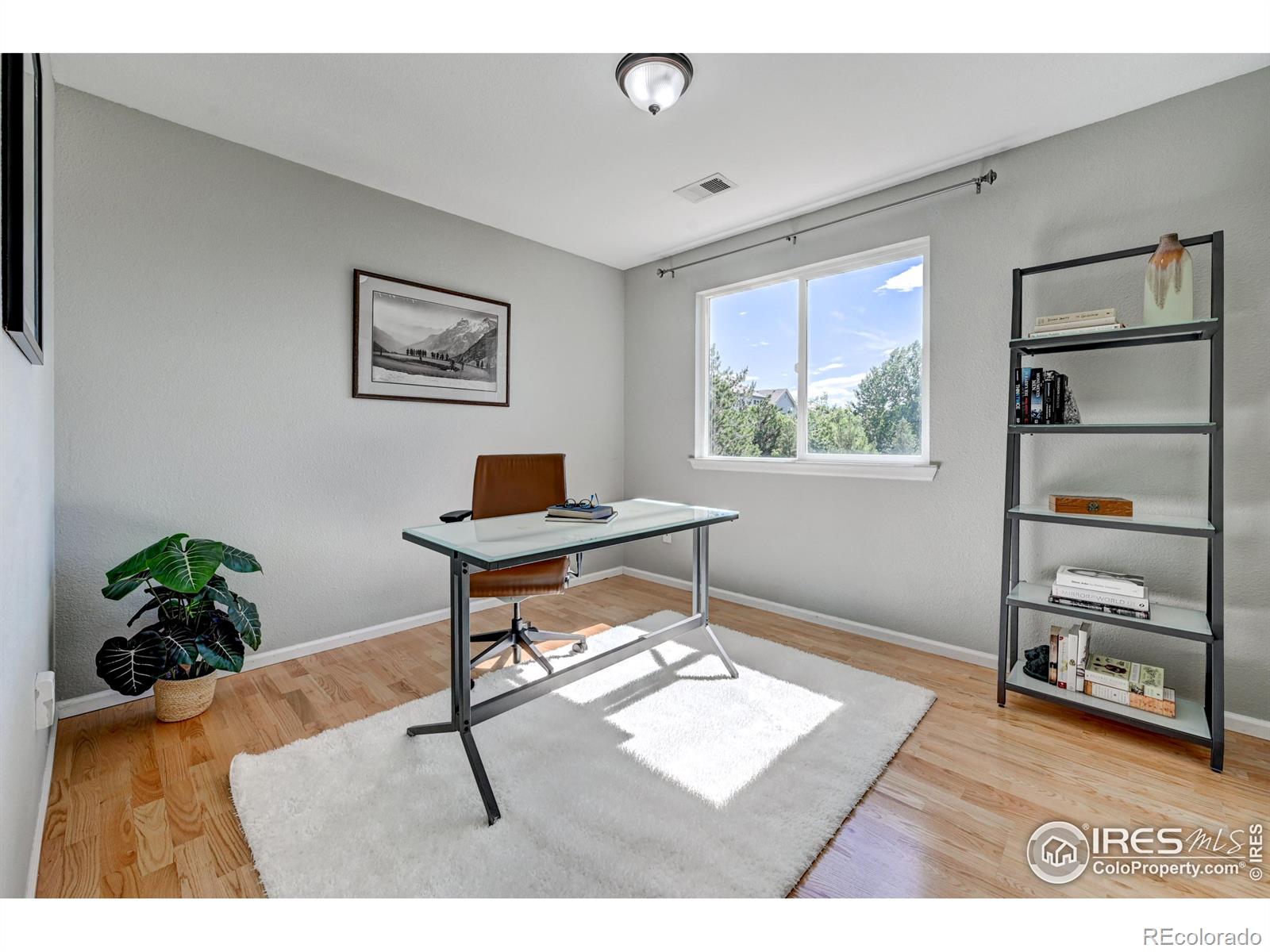 MLS Image #8 for 3727  castle peak avenue,superior, Colorado